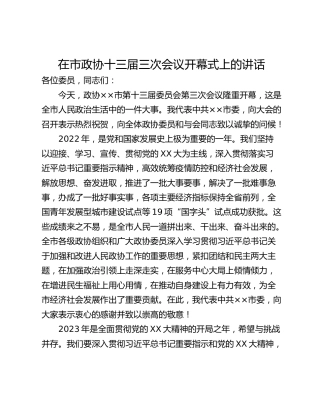 在市政协十三届三次会议开幕式上的讲话