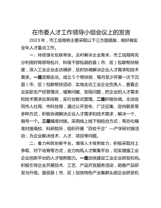在市委人才工作领导小组会议上的发言