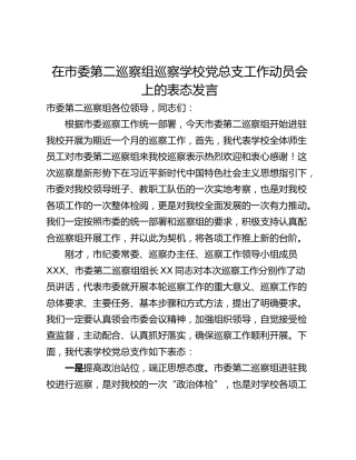 在市委第二巡察组巡察学校党总支工作动员会上的表态发言