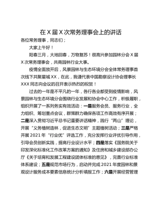 在X届X次常务理事会上的讲话