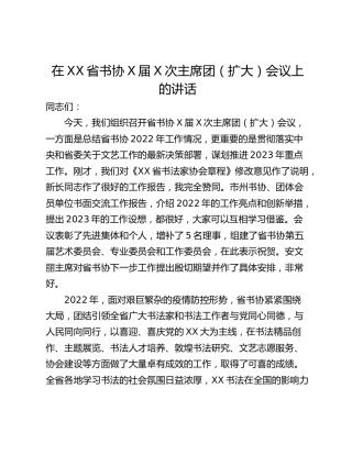 在XX省书协X届X次主席团（扩大）会议上的讲话