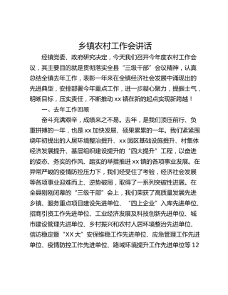 乡镇农村工作会讲话