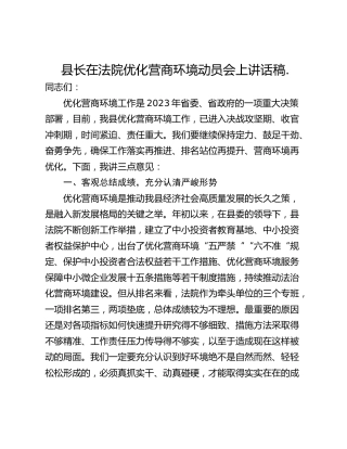 县长在法院优化营商环境动员会上讲话稿.