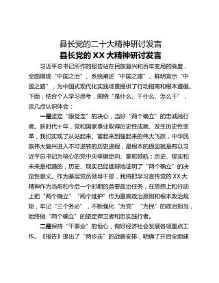 县长党的二十大精神研讨发言