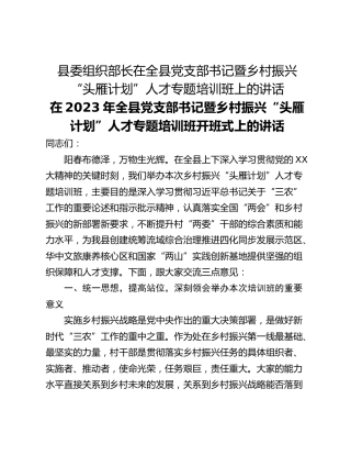 县委组织部长在全县党支部书记暨乡村振兴“头雁计划”人才专题培训班上的讲话
