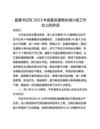 县委书记在2023年县委反腐败协调小组工作会上的讲话_1