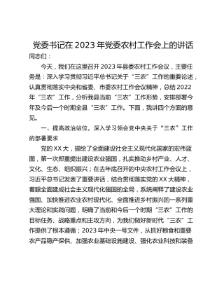 党委书记在2023年党委农村工作会上的讲话