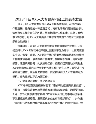 2023年在XX人大专题询问会上的表态发言
