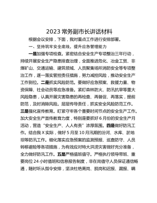 2023常务副市长讲话材料