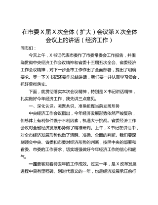 在市委X届X次全体（扩大）会议第X次全体会议上的讲话（经济工作）