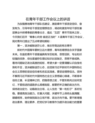 在青年干部工作会议上的讲话