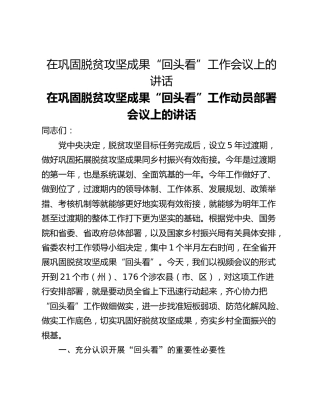 在巩固脱贫攻坚成果“回头看”工作会议上的讲话