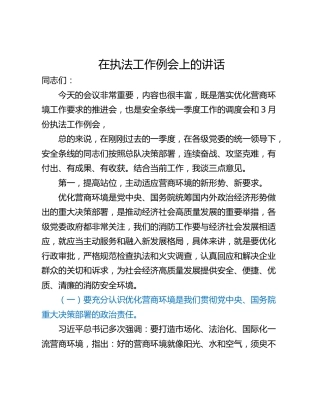 在执法工作例会上的讲话