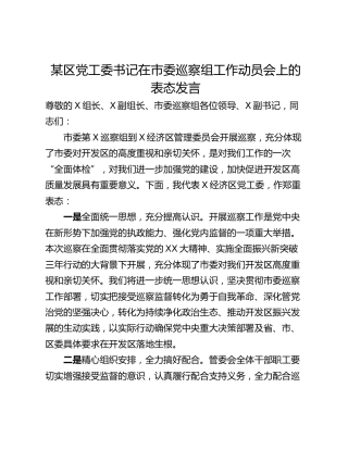 某区党工委书记在市委巡察组工作动员会上的表态发言