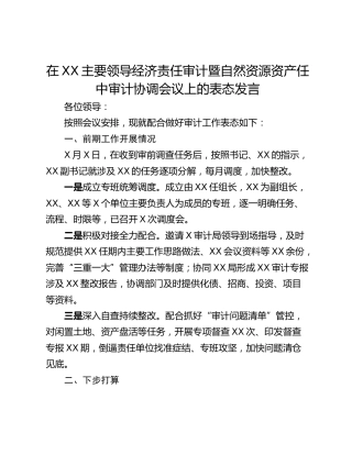 在XX主要领导经济责任审计暨自然资源资产任中审计协调会议上的表态发言