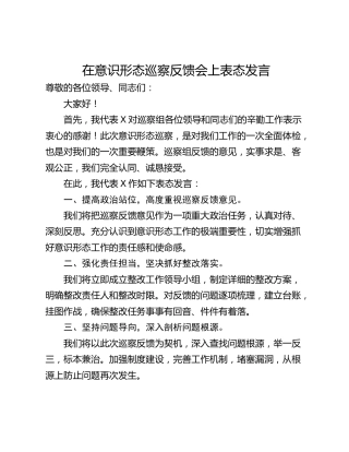 在意识形态巡察反馈会上表态发言