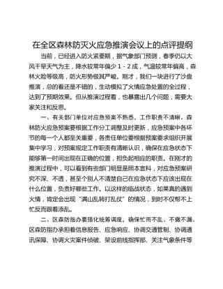 在全区森林防灭火应急推演会议上的点评提纲