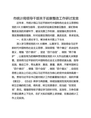 市统计局领导干部关于巡察整改工作研讨发言