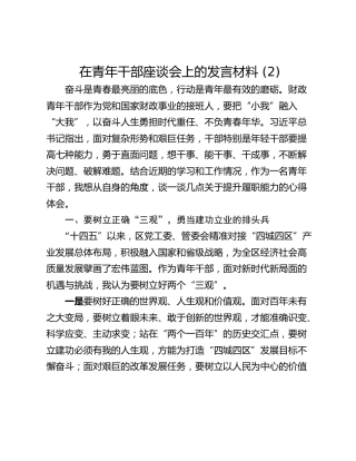 在青年干部座谈会上的发言材料 (2)