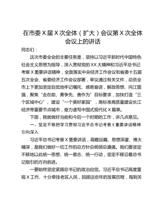 在市委X届X次全体（扩大）会议第X次全体会议上的讲话