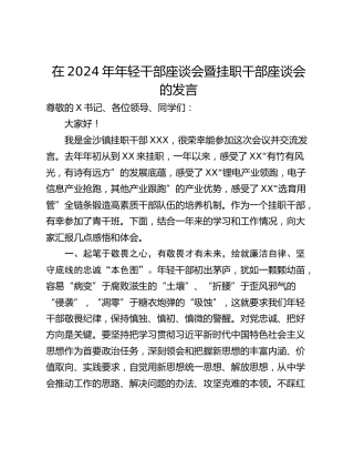 在2024年年轻干部座谈会暨挂职干部座谈会的发言