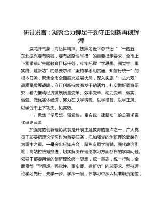 研讨发言：凝聚合力铆足干劲守正创新再创辉煌