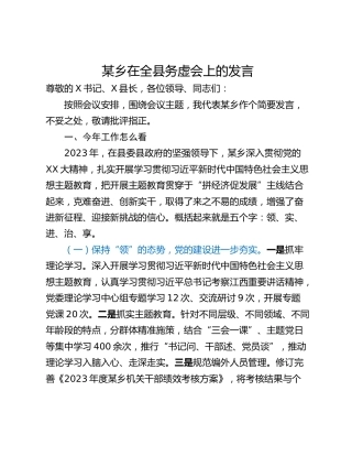 某乡在全县务虚会上的发言