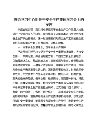 理论学习中心组关于安全生产集体学习会上的发言