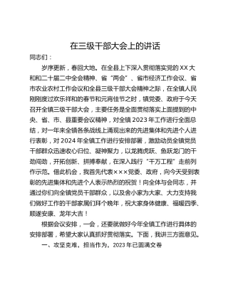 在三级干部大会上的讲话