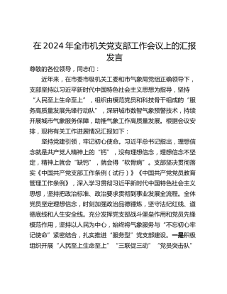 在2024年全市机关党支部工作会议上的汇报发言