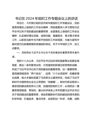 书记在2024年组织工作专题会议上的讲话