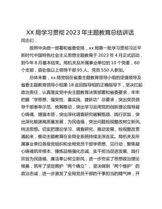 XX局学习贯彻2023年主题教育总结讲话  ​
