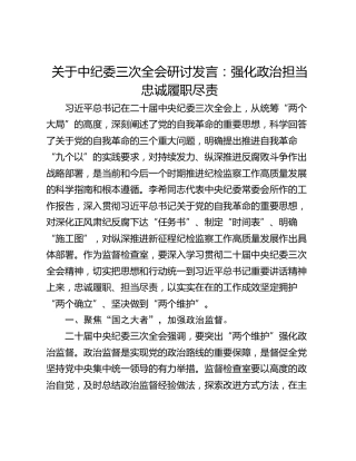 关于中纪委三次全会研讨发言：强化政治担当忠诚履职尽责