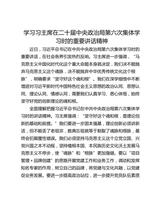 学习习主席在二十届中央政治局第六次集体学习时的重要讲话精神