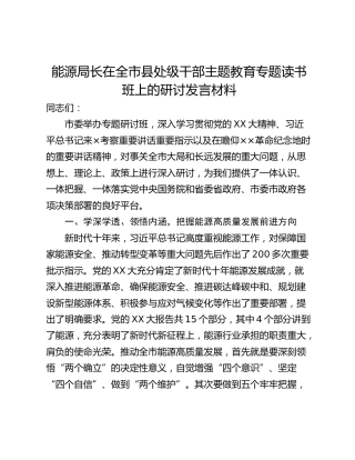 能源局长在全市县处级干部主题教育专题读书班上的研讨发言材料