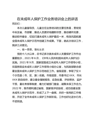 在未成年人保护工作业务培训会上的讲话