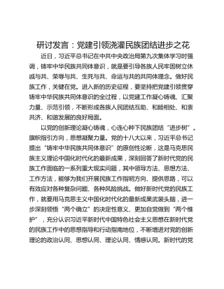 研讨发言：党建引领浇灌民族团结进步之花