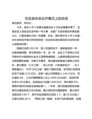 在区政协会议开幕式上的讲话