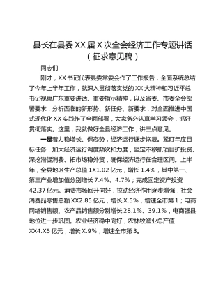 县长在县委XX届X次全会经济工作专题讲话（征求意见稿）