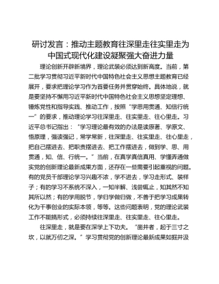 研讨发言：推动主题教育往深里走往实里走为中国式现代化建设凝聚强大奋进力量