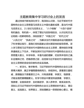 主题教育集中学习研讨会上的发言