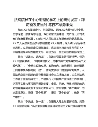 法院院长在中心组理论学习上的研讨发言：踔厉奋发正当时 笃行不怠勇争先