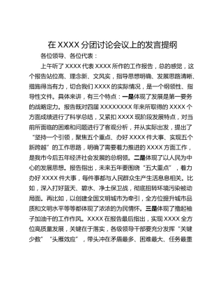 在XXXX分团讨论会议上的发言提纲