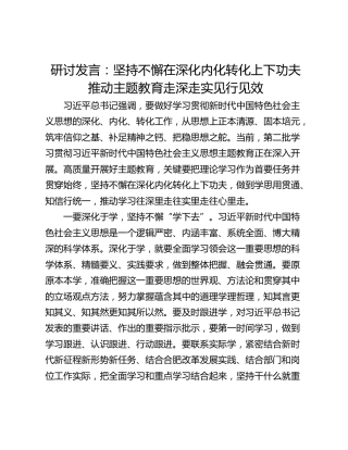 研讨发言：坚持不懈在深化内化转化上下功夫 推动主题教育走深走实见行见效