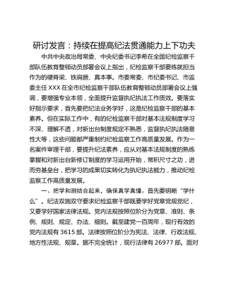 研讨发言：持续在提高纪法贯通能力上下功夫