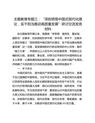 主题教育专题三：“深刻领悟中国式现代化理论，实干担当推动高质量发展”研讨交流发言材料