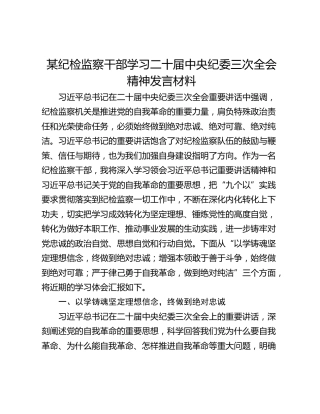 某纪检监察干部学习二十届中央纪委三次全会精神发言材料