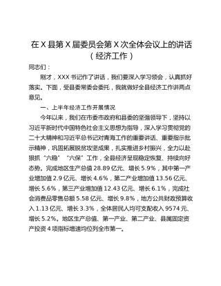 在X县第X届委员会第X次全体会议上的讲话（经济工作）