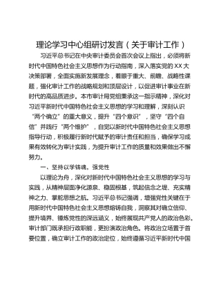 理论学习中心组研讨发言（关于审计工作）