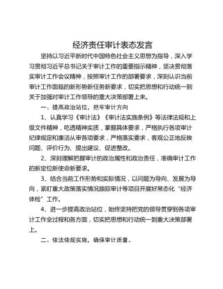 经济责任审计表态发言